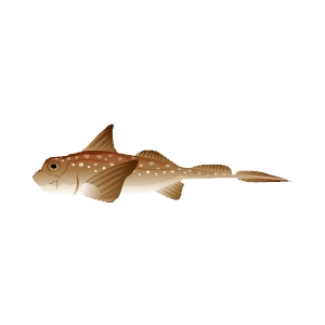 Sand Chimaera